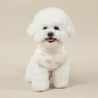 Organic T-Shirt - Poodle Party