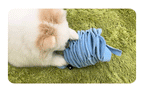 Poki Pocket Nosework Toy