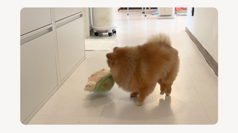 Jumping Boogie Auto-Ball Toy
