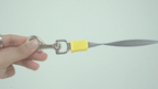 LED Signal Leash
