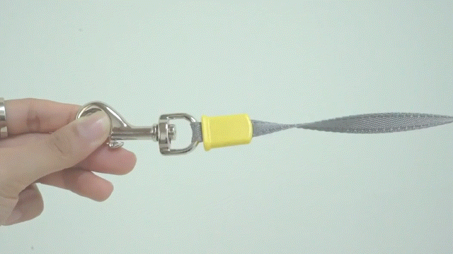 LED Signal Leash