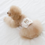 Organic Manner Belt