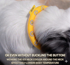 Ice Neck Cooler