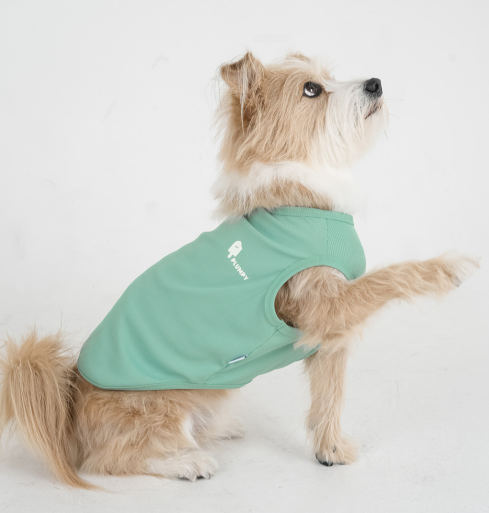 Ice Cooling Tee