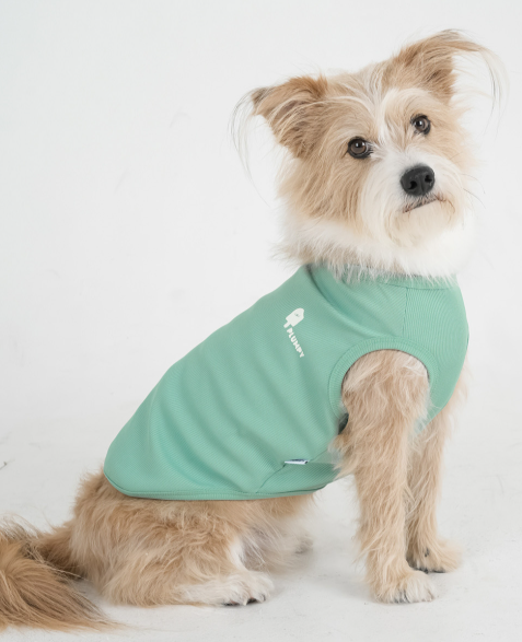 Ice Cooling Tee
