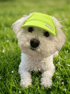 Breathable Mesh Dog Sun Cap - PawPaw Pet Shop