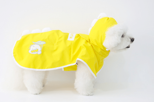 Dino Pop Raincoat - PawPaw Pet Shop