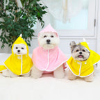 Dino Pop Raincoat - PawPaw Pet Shop