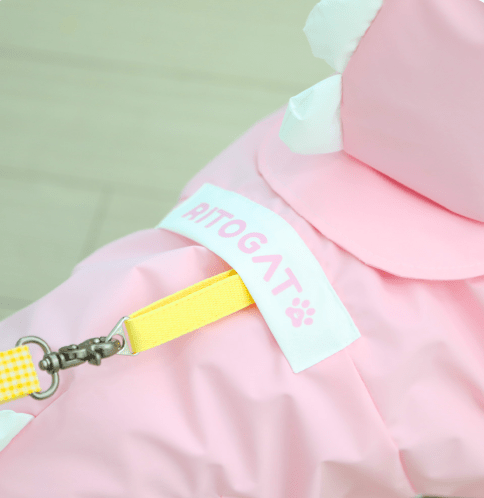 Dino Pop Raincoat - PawPaw Pet Shop
