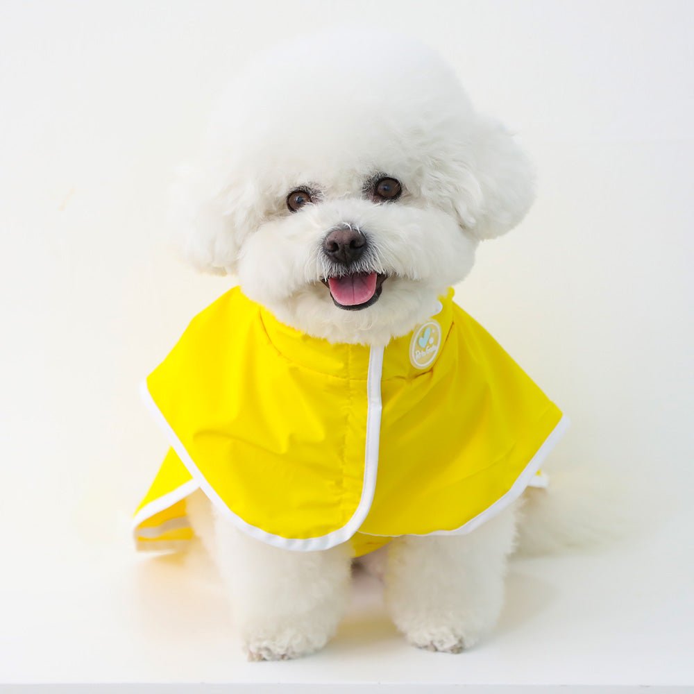Dino Pop Raincoat - PawPaw Pet Shop