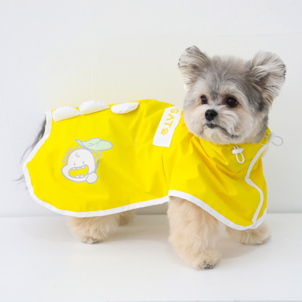 Dino Pop Raincoat - PawPaw Pet Shop