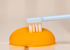 Gentle Toothbrush - Daily Care - PawPaw Pet Shop