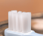 Gentle Toothbrush - Daily Care - PawPaw Pet Shop