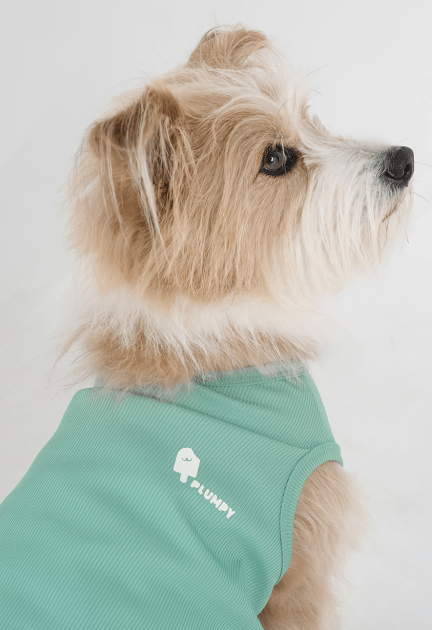 Ice Cooling Tee - PawPaw Pet Shop