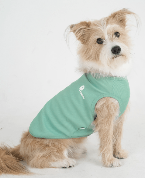 Ice Cooling Tee - PawPaw Pet Shop