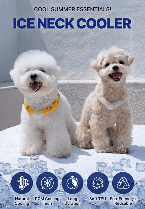 Ice Neck Cooler - PawPaw Pet Shop