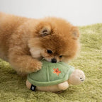 Jumping Boogie Auto-Ball Toy - PawPaw Pet Shop