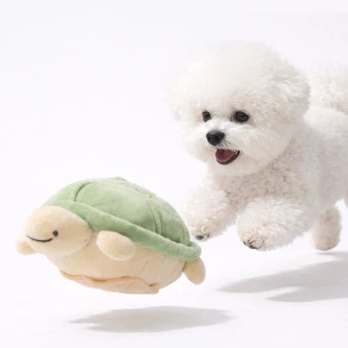 Jumping Boogie Auto-Ball Toy - PawPaw Pet Shop