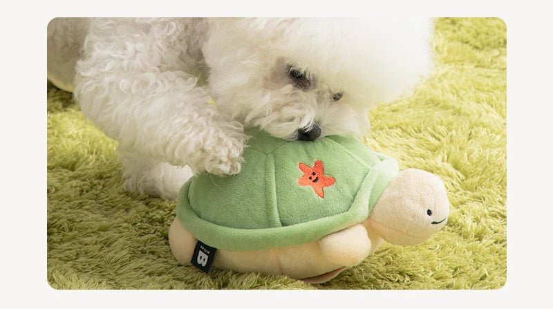 Jumping Boogie Auto-Ball Toy - PawPaw Pet Shop