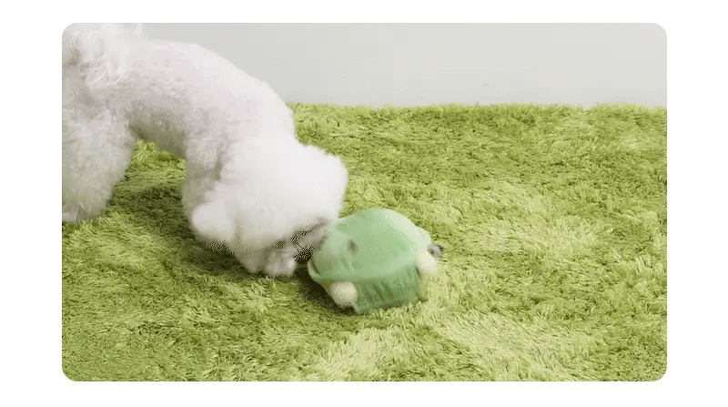 Jumping Boogie Auto-Ball Toy - PawPaw Pet Shop