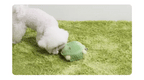Jumping Boogie Auto-Ball Toy - PawPaw Pet Shop