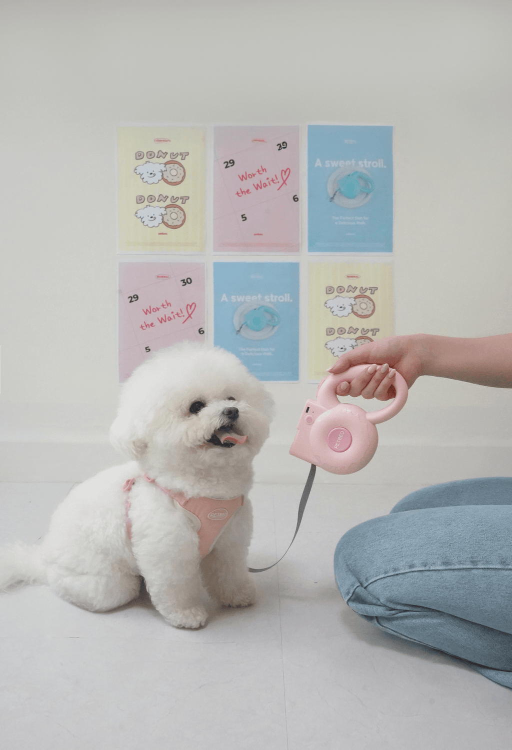 LED Signal Leash - PawPaw Pet Shop