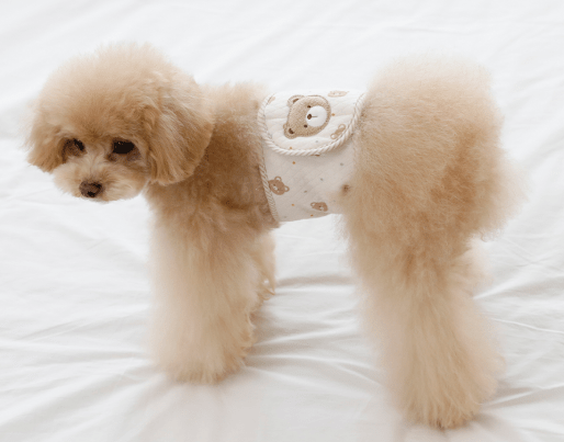Organic Manner Belt - PawPaw Pet Shop