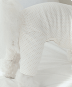 Organic Onesies - Poka Dots - PawPaw Pet Shop
