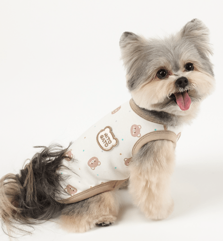 Organic Shirt - Honey Bear - PawPaw Pet Shop