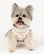 Organic Shirt - The Ringed Pistachio Pop - PawPaw Pet Shop