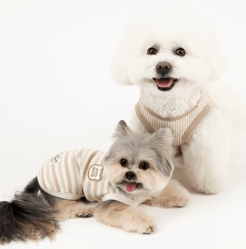 Organic Shirt - The Ringed Pistachio Pop - PawPaw Pet Shop
