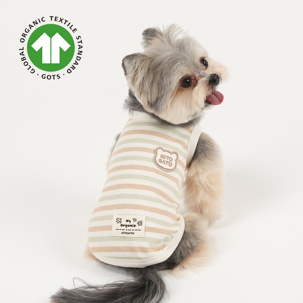 Organic Shirt - The Ringed Pistachio Pop - PawPaw Pet Shop