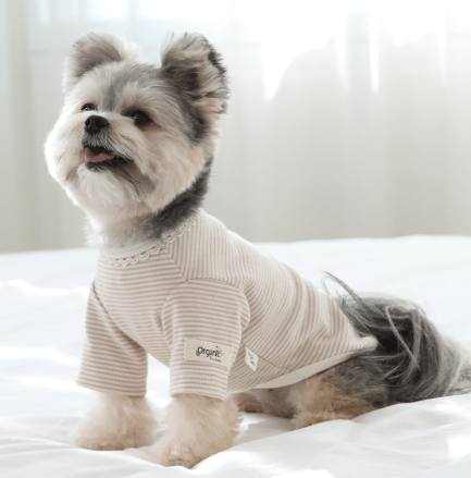 Organic T-Shirt - Cozy Striped - PawPaw Pet Shop