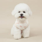 Organic T-Shirt - Poodle Party - PawPaw Pet Shop