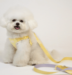 Pastel Hands-Free Leash 2.3M - PawPaw Pet Shop