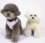 Pastel Harness - PawPaw Pet Shop