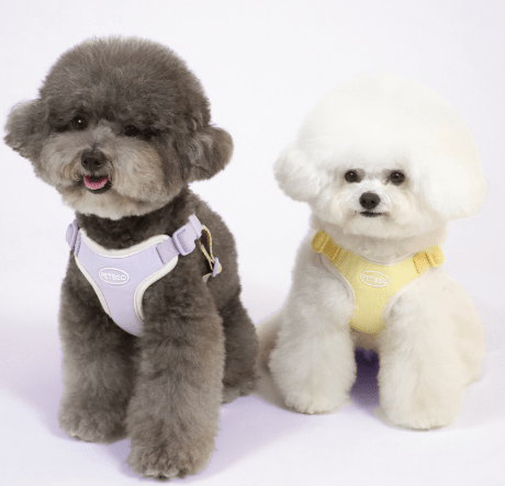 Pastel Harness - PawPaw Pet Shop