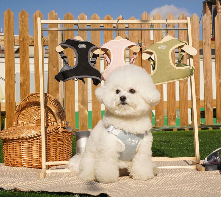 Pastel Harness - PawPaw Pet Shop