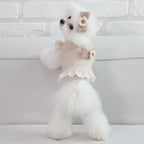 Peach Blossom Ruffle Crop Sweater - PawPaw Pet Shop