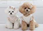 Peach Blossom Ruffle Crop Sweater