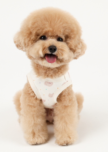 Organic Shirt - I am Poodle