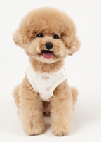 Organic Shirt - I am Poodle