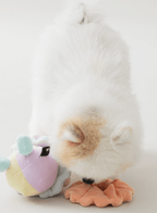Pierrot Nosework Toy - PawPaw Pet Shop