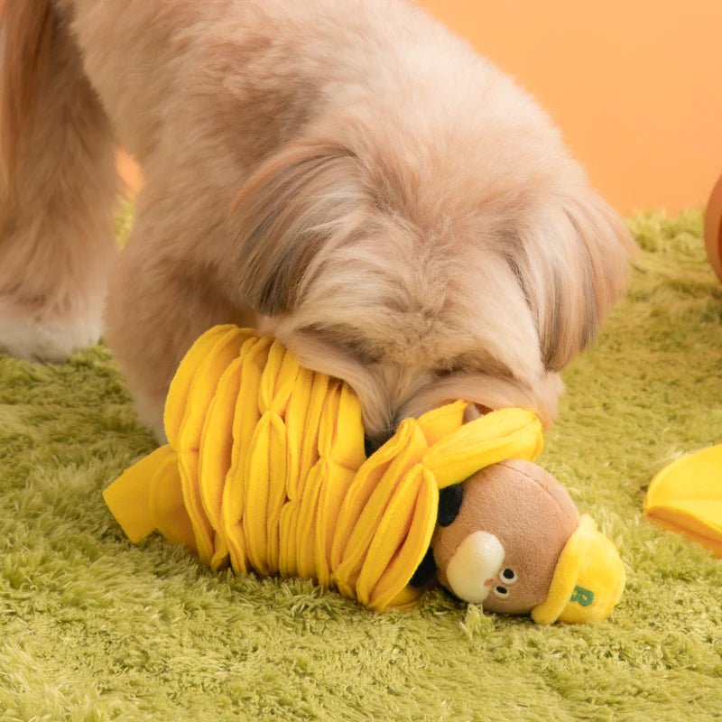 Poki Pocket Nosework Toy - PawPaw Pet Shop