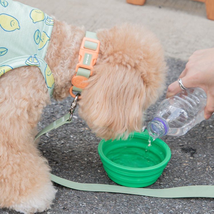 Silicone Travel Bowl Pastel - PawPaw Pet Shop