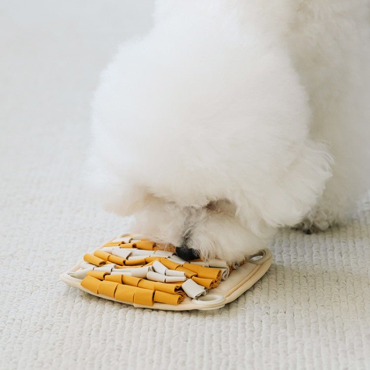 Spin & Snack Chipmunk Toy - PawPaw Pet Shop