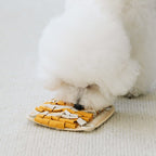 Spin & Snack Chipmunk Toy - PawPaw Pet Shop