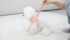 Sunvely One-Touch Harness