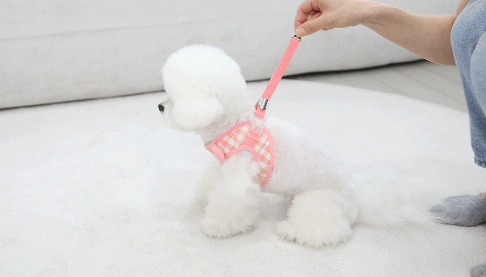 Sunvely One-Touch Harness