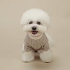 Sweetly Checkered T-Shirt - PawPaw Pet Shop
